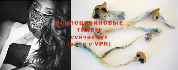 спайс Алексеевка