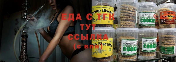 индика Рославль